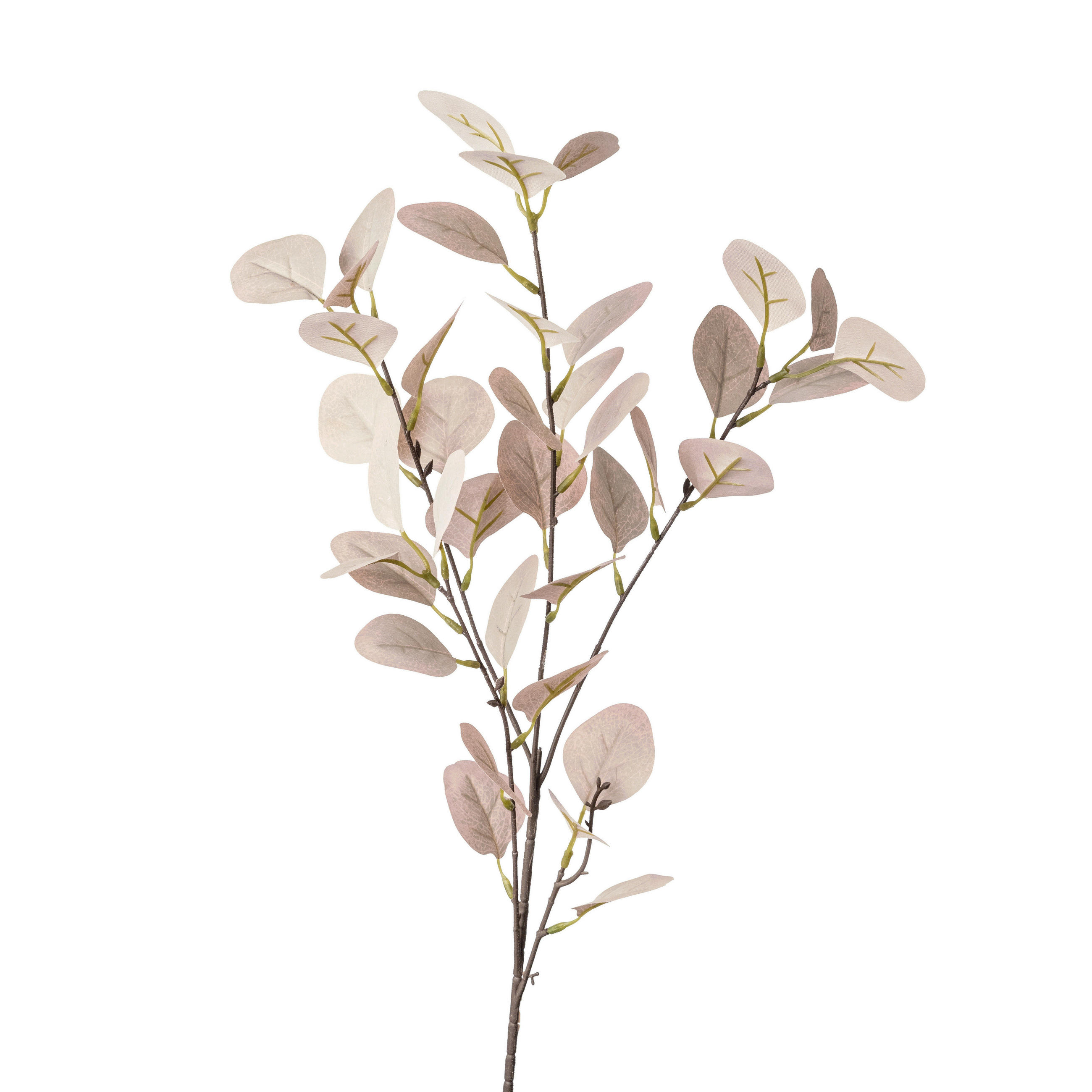 DEKOZWEIG Eukalyptus  - Grün, Basics, Kunststoff (73cm)