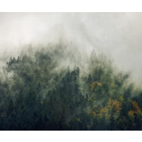 VLIESTAPETE  - Natur (300/250cm) - Komar