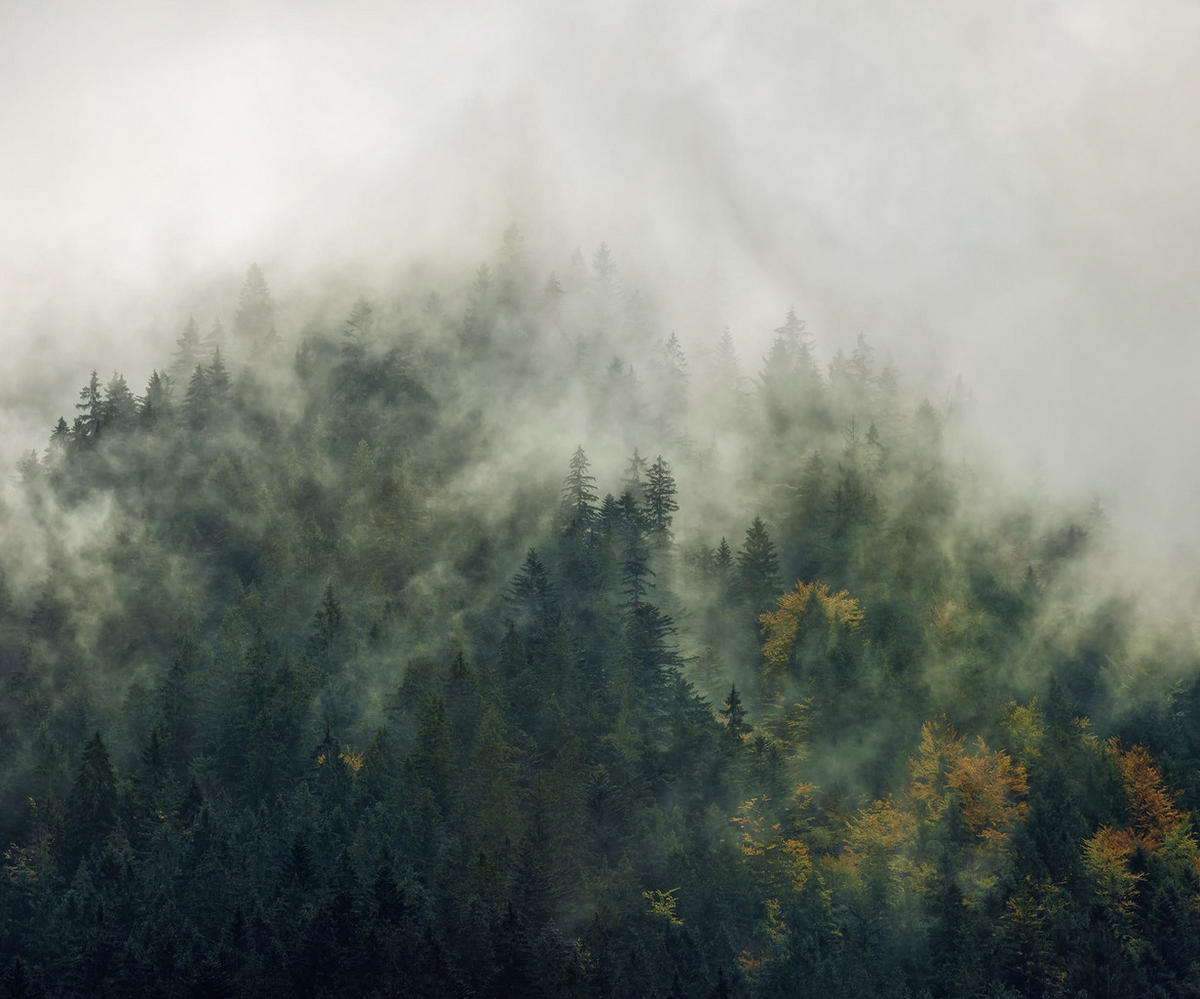VLIESTAPETE  - Natur (300/250cm) - Komar