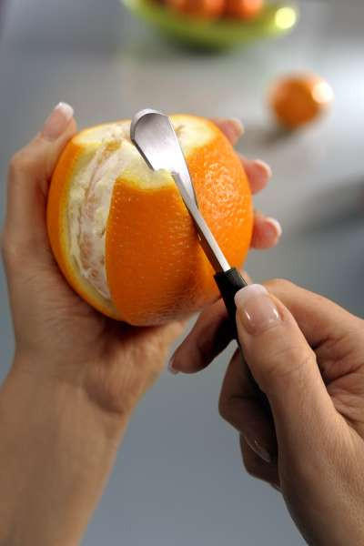 OBSTSCHNEIDER - Basics, Kunststoff/Metall (16cm) - Gefu