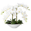 KUNSTPFLANZE Orchidee 53 cm  - Weiß/Grün, Design, Keramik/Kunststoff (53cm) - P & B
