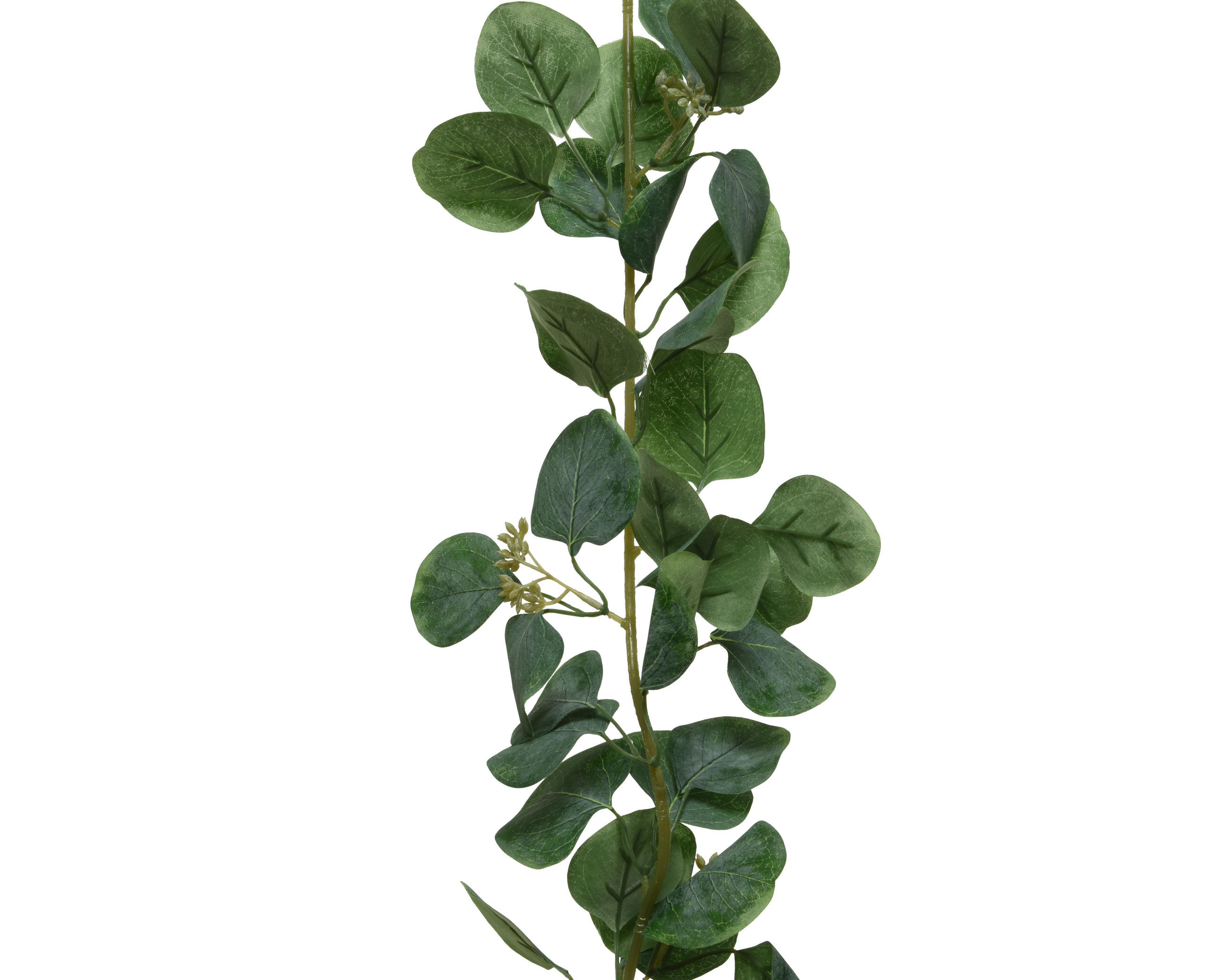 OKRASNA VEJICA - zelena, Basics, umetna masa (12/12/180cm)