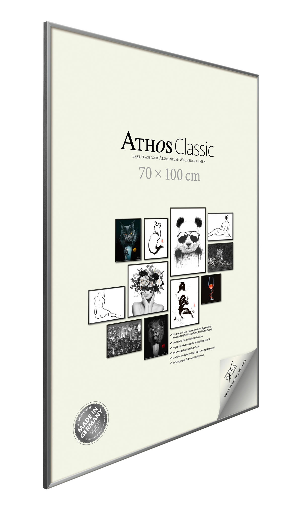 BILDERRAHMEN - Silberfarben, Basics, Papier/Holzwerkstoff (70/100/1,8cm)