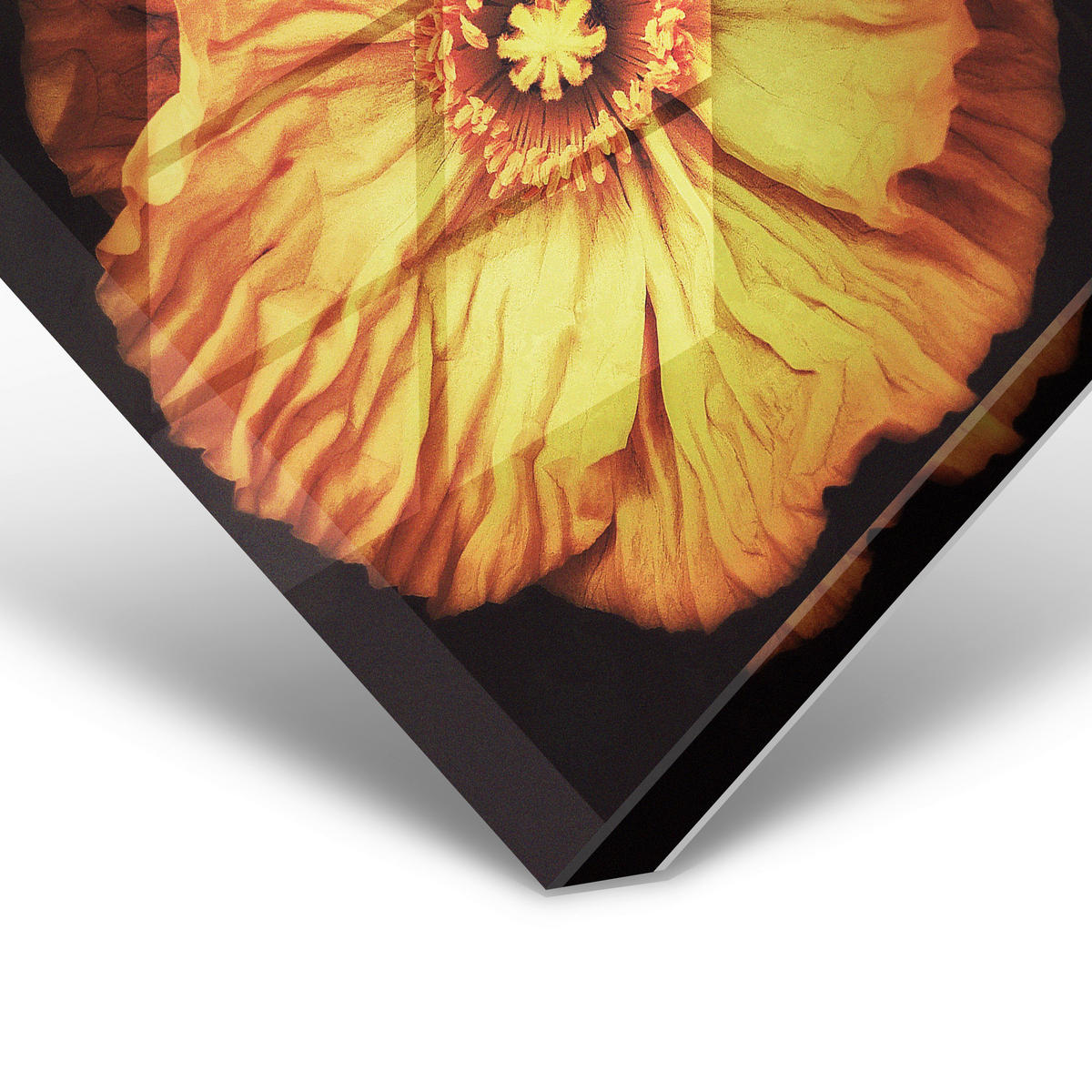 GLASBILD 74/74 cm  - Gelb/Lila, Design, Kunststoff (74/74cm)