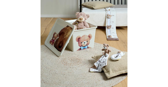 SPIELZEUGBOX 48,5/36/25 cm - Beige, Basics, Kunststoff (48,5/36/25cm) - My Baby Lou