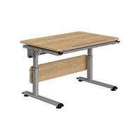 IFJÚSÁGI ÍRÓASZTAL  - ezüst/tölgyfa, Basics, faalapú anyag/fém (105/70/53-79cm) - Paidi