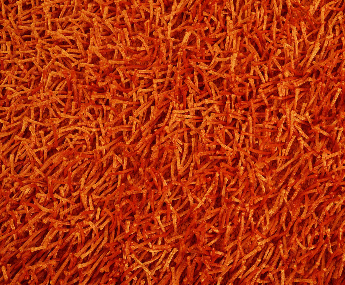 BADTEPPICH Shaggy Rostfarben 60/100 cm  - Rostfarben, Basics, Textil (60/100cm) - Esposa