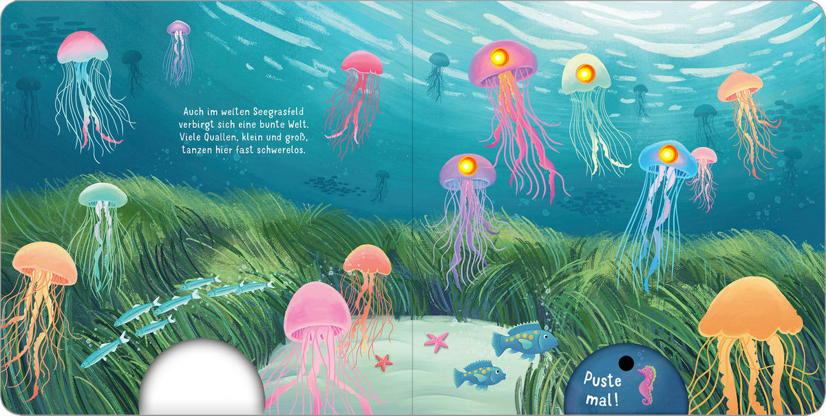 BUCH - Multicolor, Basics, Papier (19,5/19,5/1,6cm)