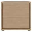 NACHTSCHRANK 50/48/42 cm  - Eichefarben/Silberfarben, Trend, Holzwerkstoff/Kunststoff (50/48/42cm) - Carryhome