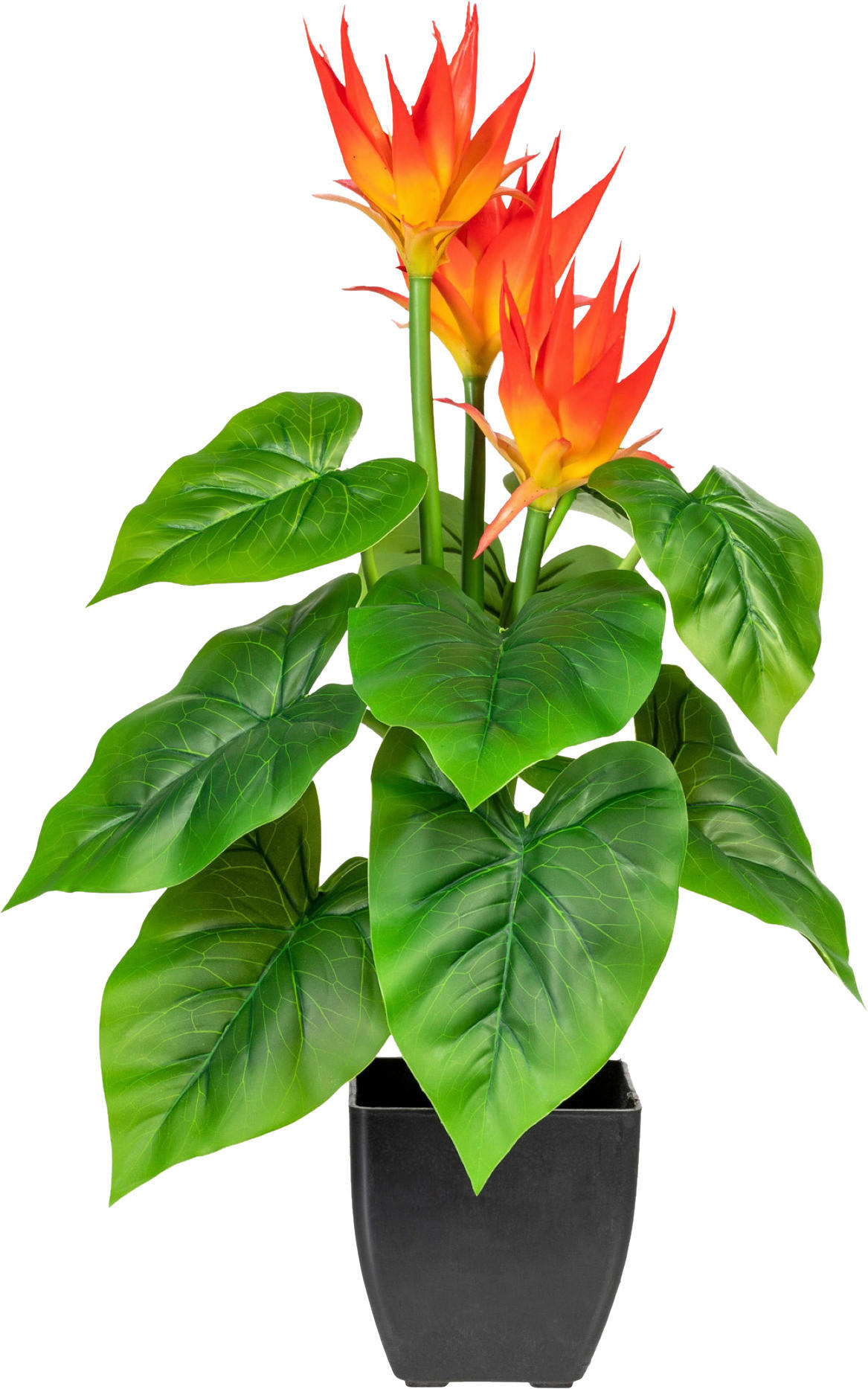 KUNSTPFLANZE Guzmania 58 cm  - Schwarz/Orange, Design, Kunststoff (58cm) - P & B