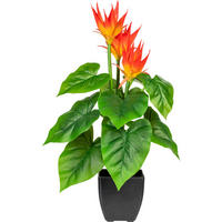 KUNSTPFLANZE Guzmania 58 cm  - Schwarz/Orange, Design, Kunststoff (58cm) - P & B