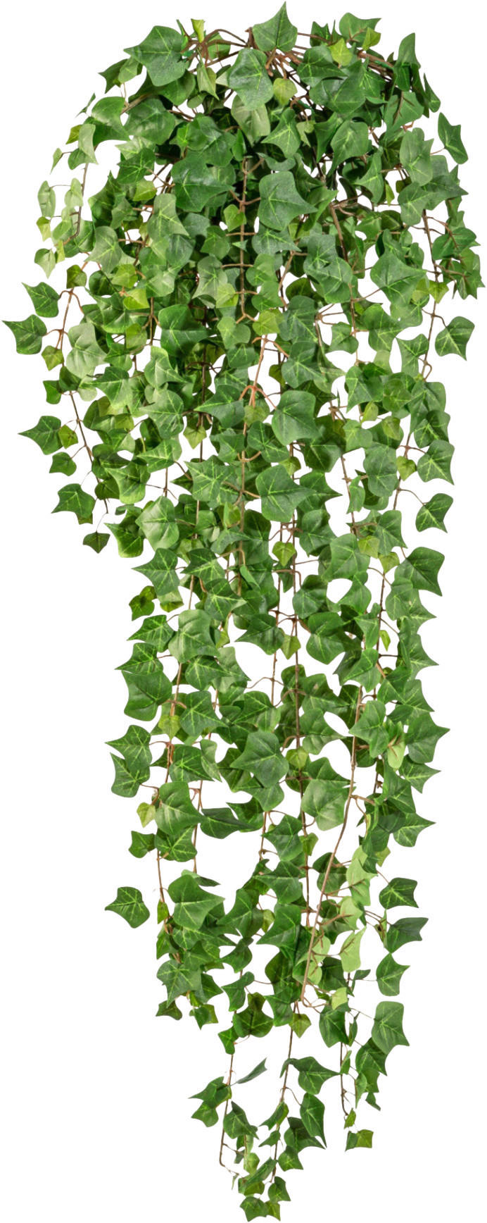 KUNSTPFLANZE Efeu 115 cm  - Grün, Design, Kunststoff (115cm) - P & B
