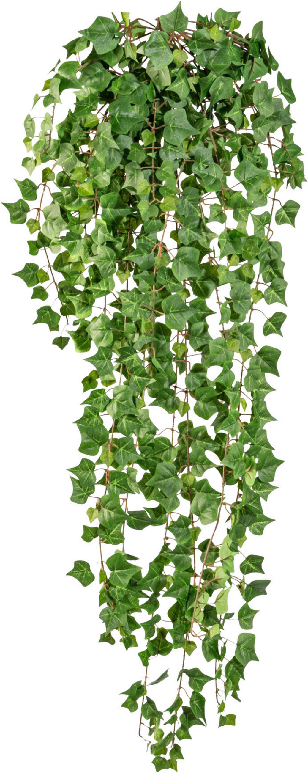 KUNSTPFLANZE Efeu 115 cm  - Grün, Design, Kunststoff (115cm) - P & B