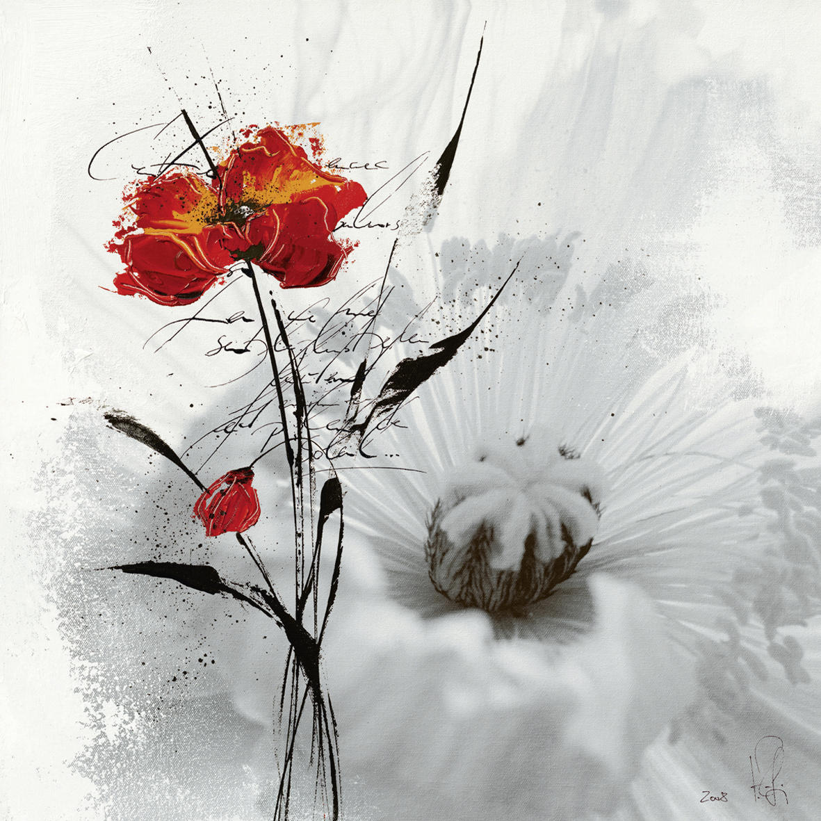 KUNSTDRUCK Isabelle Zacher-Finet Blumen Petite aventure fleurie I - Rot/Schwarz, Basics, Papier (30/30cm) - Monee