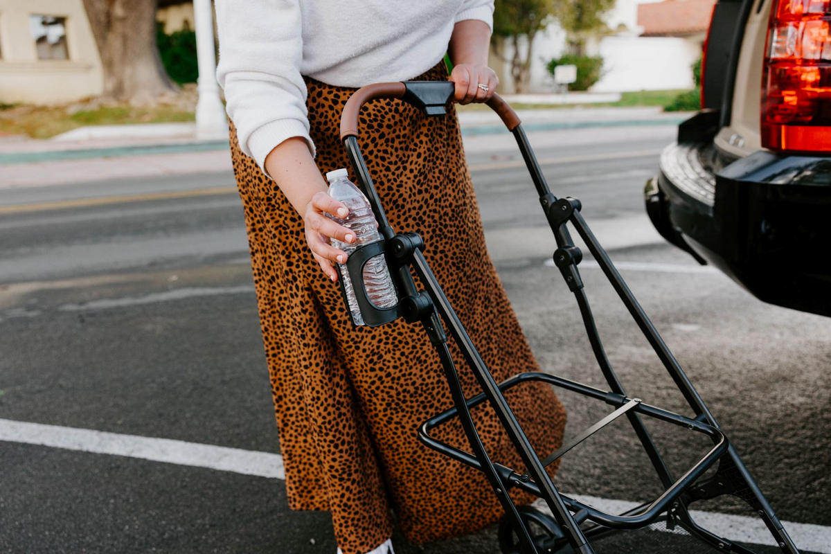 HUNDEBUGGY P2 Pet Stroller  - Schwarz/Grau, Basics, Textil/Metall (68/44/100cm) - WONDERFOLD