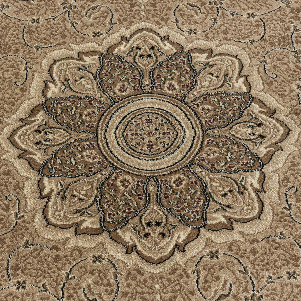 WEBTEPPICH 300/400 cm Kashmir 2601 Beige Beige  - Beige, LIFESTYLE, Textil (300/400cm)