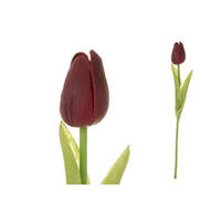 TULIPÁN 34 cm - zelená/červená, Basics, plast (34cm)