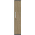 AKTENSCHRANK Grau, Eichefarben  - Eichefarben/Grau, KONVENTIONELL, Holzwerkstoff (40/217,4/43cm) - Moderano