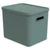 AUFBEWAHRUNGSBOX Albula  - Mintgrün, KONVENTIONELL, Kunststoff (37/29/29.5cm) - Rotho