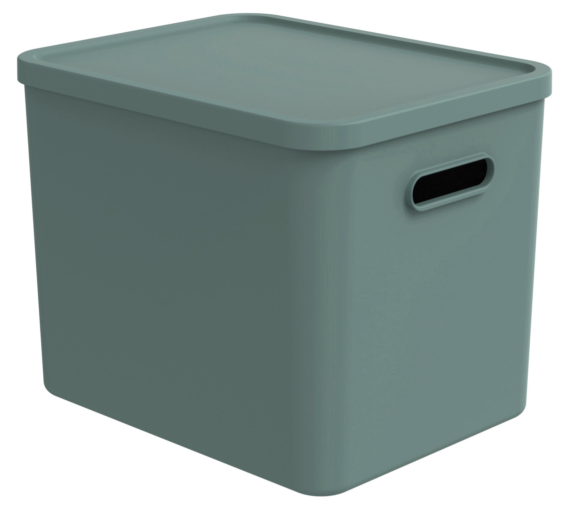 Rotho ÚLOŽNÝ BOX, plast