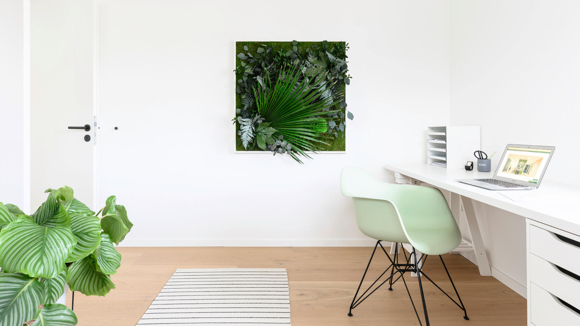 MOOSBILD Stylegreen  - Weiß/Grün, Basics, Naturmaterialien/Holz (80/80/18-22cm)