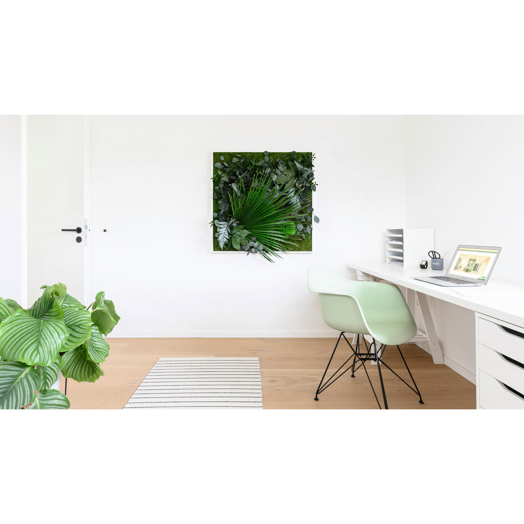 Thumbnail - Xxxl Moosbild Stylegreen, Grün, Naturmaterialien, Eiche, 80x80x18-22 cm, 3D-Effekt, einfache und schnelle Anbringung, pf...