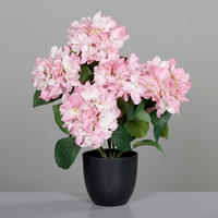 HORTENSIE - Basics (45cm)