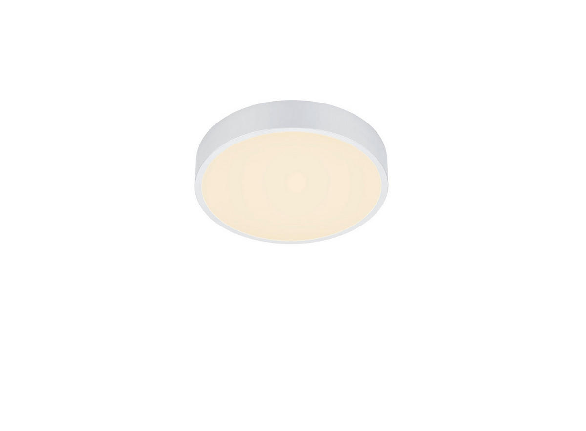 LED-DECKENLEUCHTE  31/6,5 cm    - Basics (31/6,5cm) - Trio Leuchten