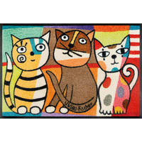 DVEŘNÍ ROHOŽKA, 50/75 cm - vícebarevná, Konvenční, textil/plast (50/75cm) - Esposa