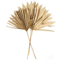 TROCKENBLUME - Basics (35cm) - ASA