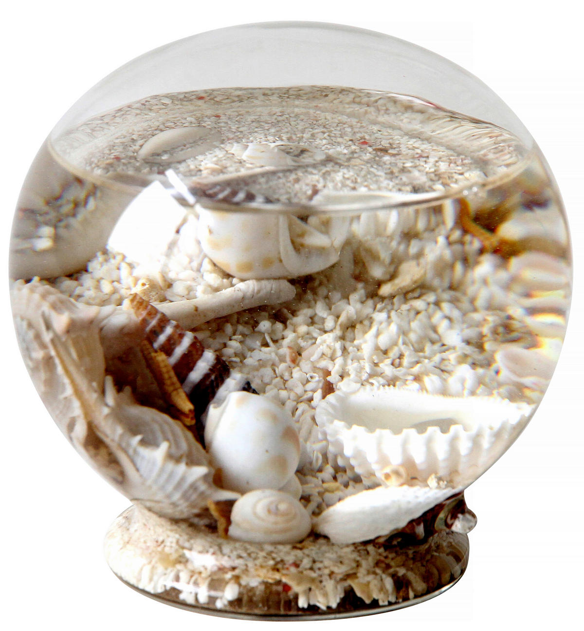 DEKOMUSCHEL - Klar, Basics, Glas/Naturmaterialien (10/9,5cm) - Ambia Home