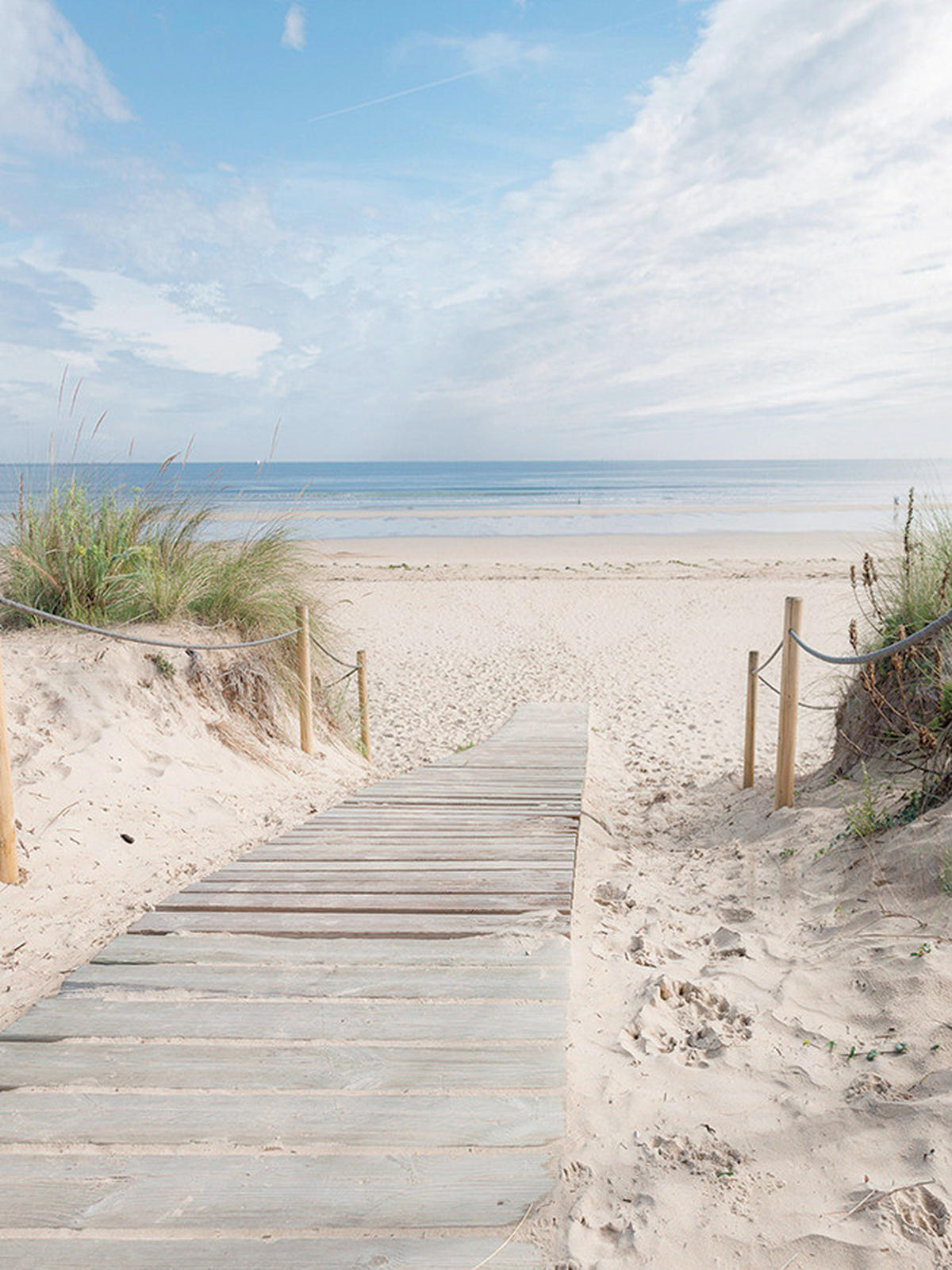 LEINWANDBILD Strand & Meer  - Multicolor, Natur, Holz/Papier (60/80/3cm) - Euroart