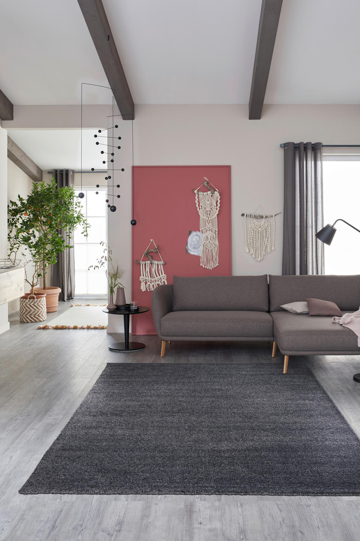 HOCHFLORTEPPICH 200/290 cm Pure Anthrazit  - Anthrazit, Basics, Textil (200/290cm) - Schöner Wohnen