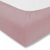 SPANNLEINTUCH 100/200 cm Single-Jersey  - Flieder, Basics, Textil (100/200cm) - Estella