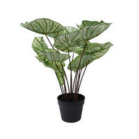 PLANTĂ DECORATIVĂ - Basics (50/50/50cm)