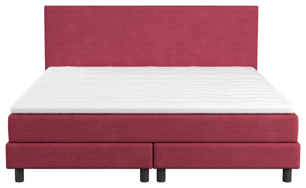 BOXBETT 160/200 cm  in Beere  - Beere/Schwarz, Modern, Holzwerkstoff/Textil (160/200cm) - MID.YOU