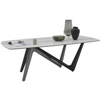 ESSTISCH 220/110/75 cm Kunststoff, Keramik Anthrazit, Grau, Weiß, Beige oval  - Anthrazit/Beige, Design, Keramik/Kunststoff (220/110/75cm) - Dieter Knoll