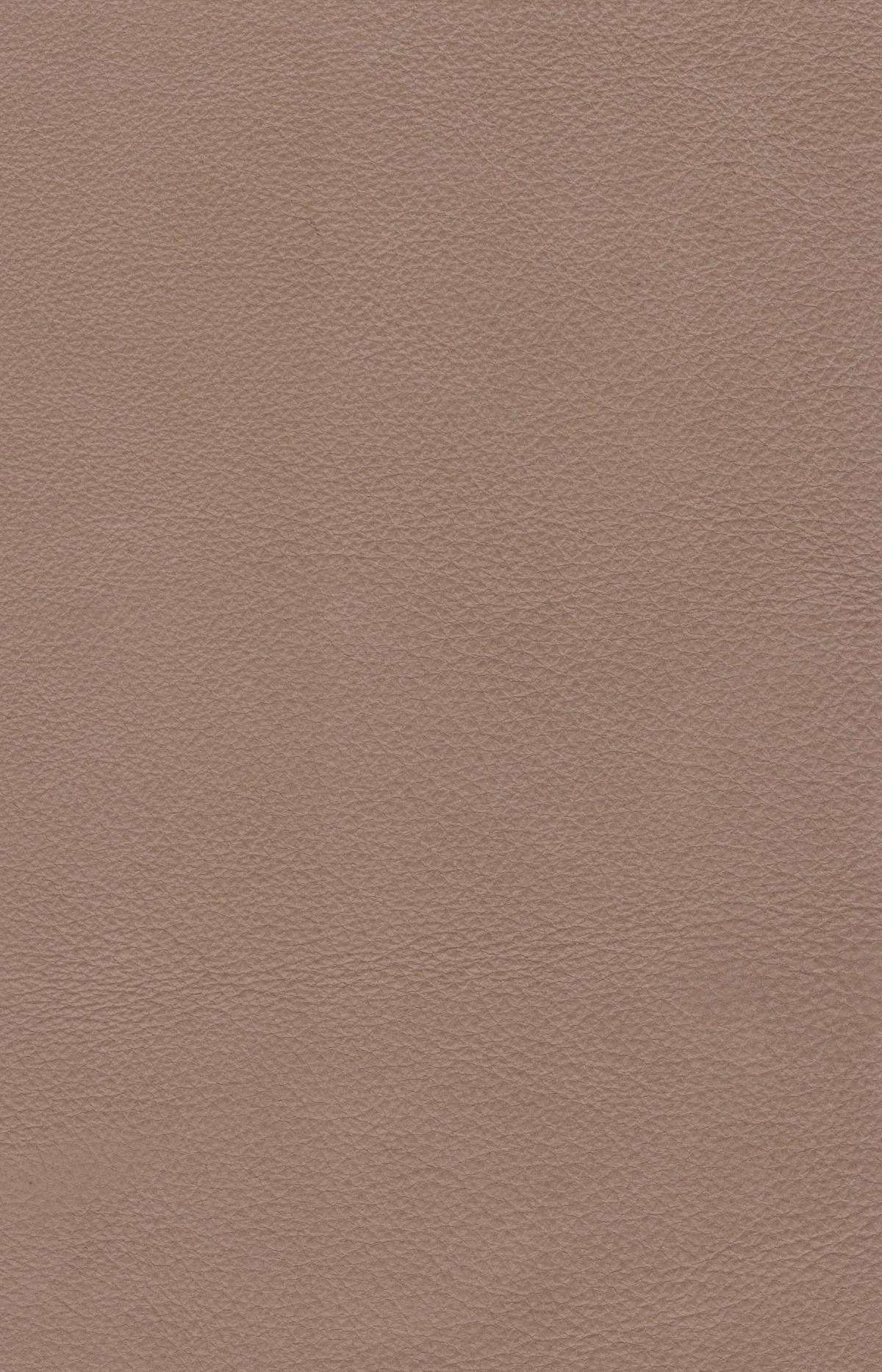 ARMLEHNSTUHL  Sitzfläche 360° drehbar, inklusive Armlehnen, automatische Rückholfunktion  Echtleder  Schwarz, Taupe  - Taupe/Schwarz, Design, Leder/Metall (62/86/61cm) - Dieter Knoll