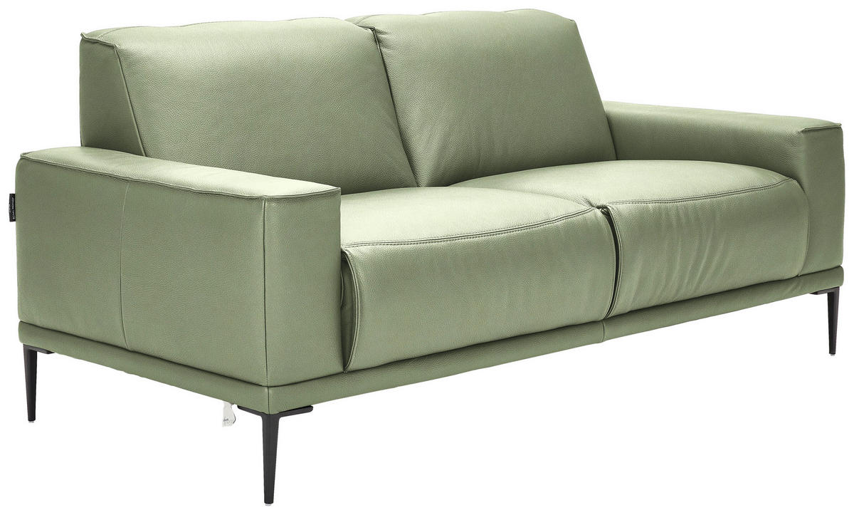 2-SITZER-SOFA in Echtleder Grün  - Schwarz/Grün, Design, Leder/Metall (180/82/92cm) - Johann Jakob