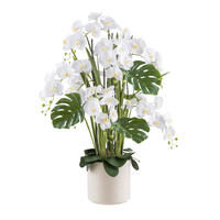 KUNSTPFLANZE Orchidee 120 cm  - Creme/Weiß, Design, Kunststoff (120cm)