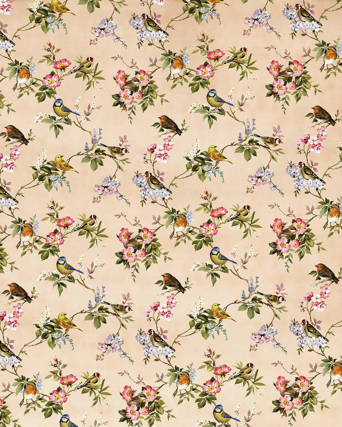 VLIESTAPETE - Multicolor, Basics (200/250cm) - Komar