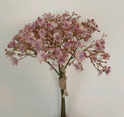 GYPSOPHILA - roz antic, Basics, plastic (30cm)