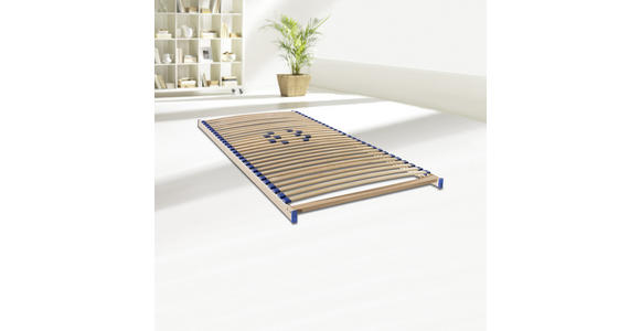 LATTENROST 140/200 cm - Birkefarben, Basics, Holz/Kunststoff (140/200cm) - Sleeptex