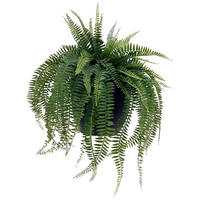 KUNSTPFLANZE Farn 54 cm  - Smaragdgrün/Schwarz, Basics, Kunststoff (54cm) - Ambia Home
