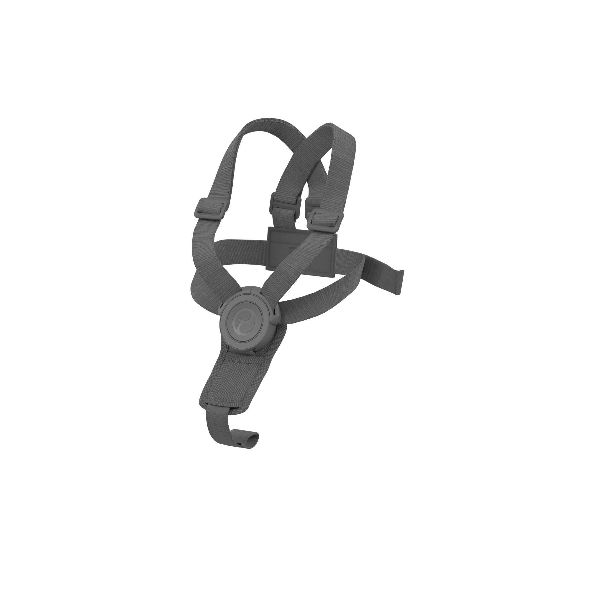 SICHERHEITSGURT - Grau, Basics, Kunststoff/Textil (9/6/20cm) - cybex GOLD