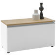 LOWBOARD  90/46/41 cm  erweiterbar, Typenauswahl, Beimöbel erhältlich, umfangreiches Zubehör erhältlich, stehend, hängend  - Eichefarben/Silberfarben, Design, Holzwerkstoff/Kunststoff (90/46/41cm) - Dieter Knoll