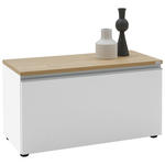 LOWBOARD  90/46/41 cm  erweiterbar, Typenauswahl, Beimöbel erhältlich, umfangreiches Zubehör erhältlich, stehend, hängend  - Eichefarben/Silberfarben, Design, Holzwerkstoff/Kunststoff (90/46/41cm) - Dieter Knoll