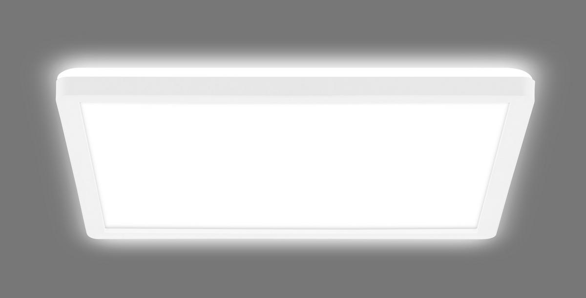 STROPNA LED-SVETILKA  Tava A //// - bela, Basics, umetna masa (29/29/3cm)