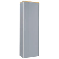 GARDEROBNA OMARA siva, barve hrasta - srebrne barve/siva, Design, kovina/steklo (54/170/31cm) - Novel