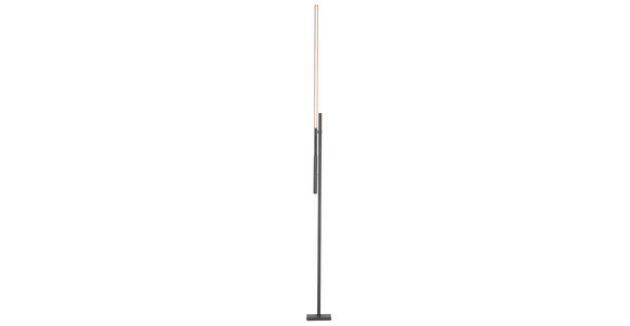 LED-STEHLEUCHTE 27-150/19/162-248 cm - Schwarz, Design, Metall (27-150/19/162-248cm) - Dieter Knoll
